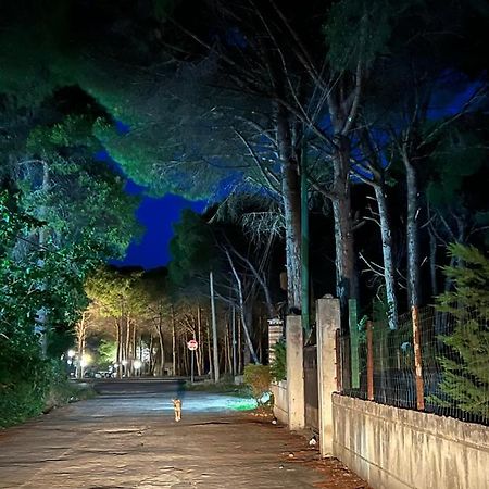 Rooms For Rent Habipi Vlorë エクステリア 写真