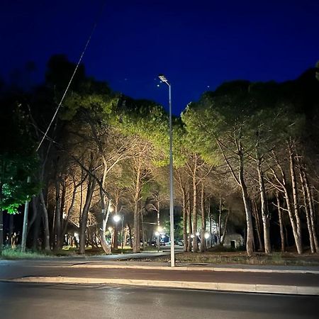 Rooms For Rent Habipi Vlorë エクステリア 写真